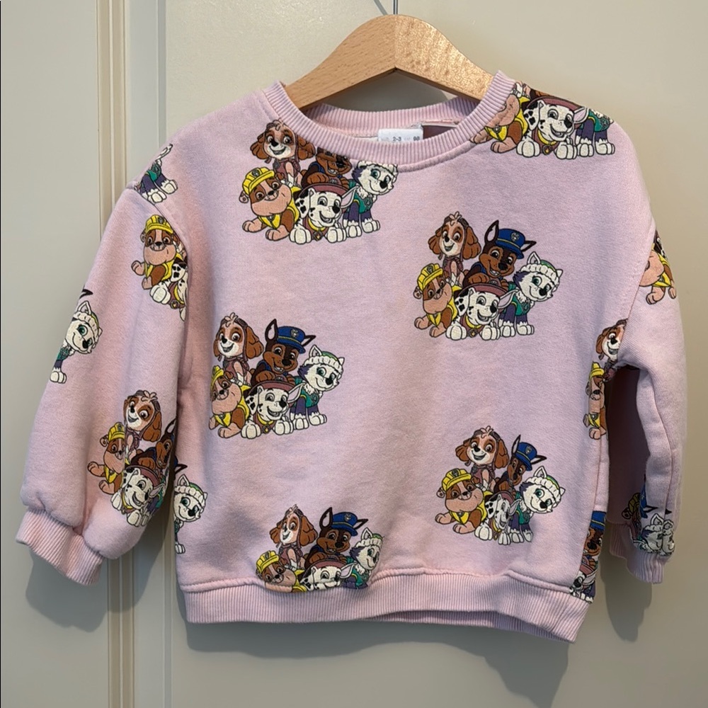 Zara Paw Patrol sweatshirt